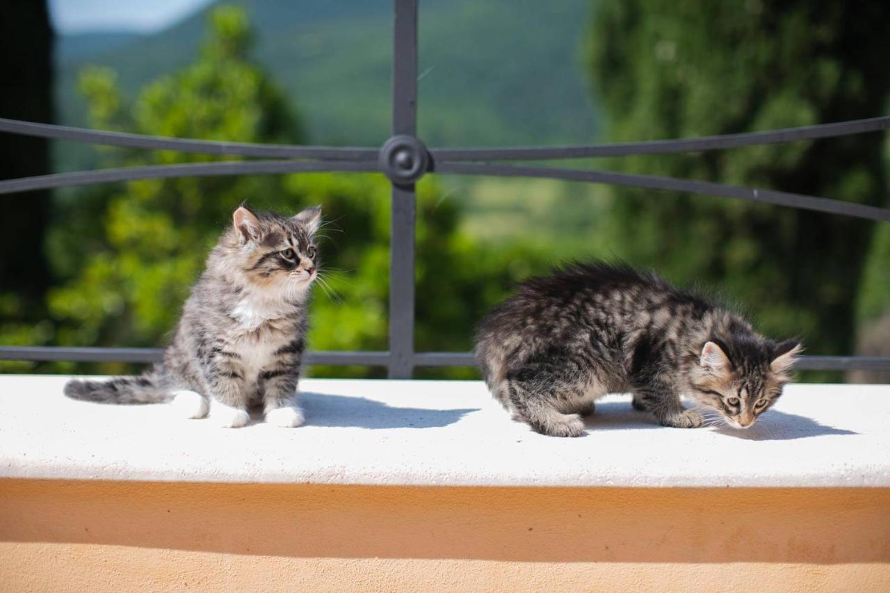 Borgo Incantato Spoleto Pompagnano Kültér fotó